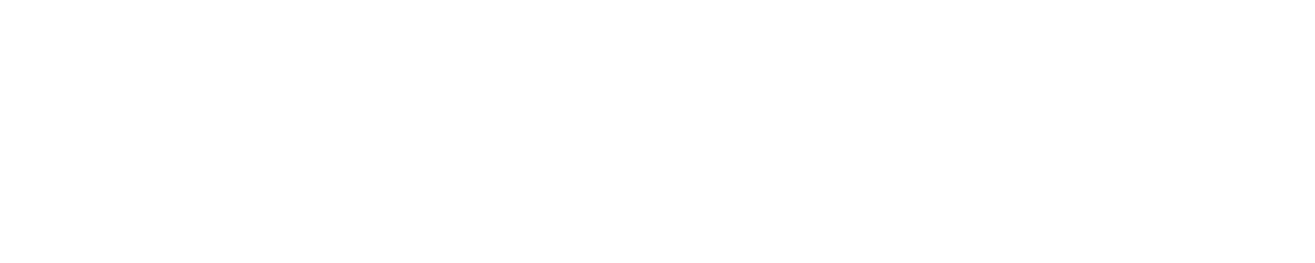 Conexus Global Consulting